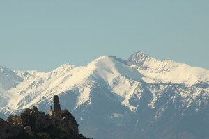 Photo Château et Canigou Denis Daynat